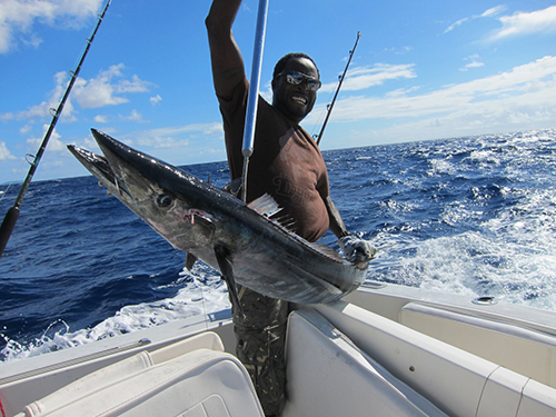 Deep Sea fishing and Charters in Antigua, best fishing spots
